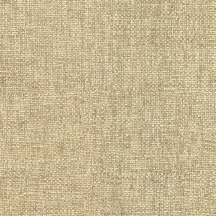 Caviar Beige Basketweave Wallpaper by Warner Designer