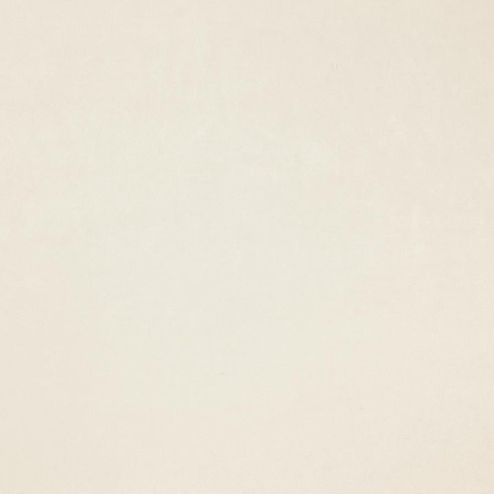Zurich # 38 Angora by Maxwell Designer Fabric Glam Velvet 100% POLYESTER INDIA 56.75" - Swanky Fabrics -