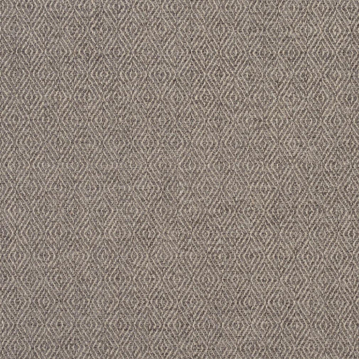 2913 Flannel by Charlotte Designer Fabric Ring Book Page #2A 100% Woven Polyester Asia Exceeds 100,000 Wyzenbeek Rubs (Heavy Duty) </p><p>Repeat: Horizontal: .5" x Vertical: 1" 54 Inches - Swanky Fabrics -