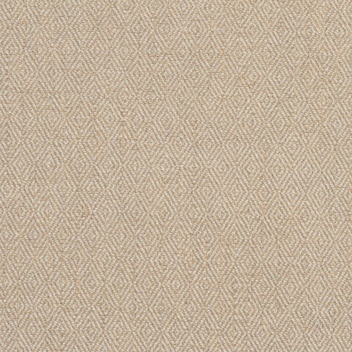 2917 Sand by Charlotte Designer Fabric Ring Book Page #2A 100% Woven Polyester Asia Exceeds 100,000 Wyzenbeek Rubs (Heavy Duty) Horizonta: .5" x Vertical: 1" 54 Inches - Swanky Fabrics -