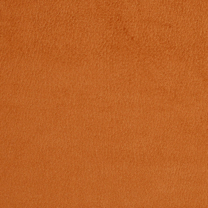 2920 Apricot by Charlotte Designer Fabric Ring Book Page #4A 100% Woven Polyester Asia Exceeds 190,000 Wyzenbeek Rubs (Heavy Duty) </p><p>Repeat: No Repeat 54 Inches - Swanky Fabrics -
