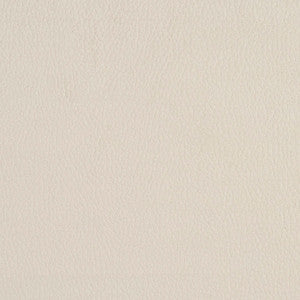 Charlotte Fabric 2922 Eggshell
