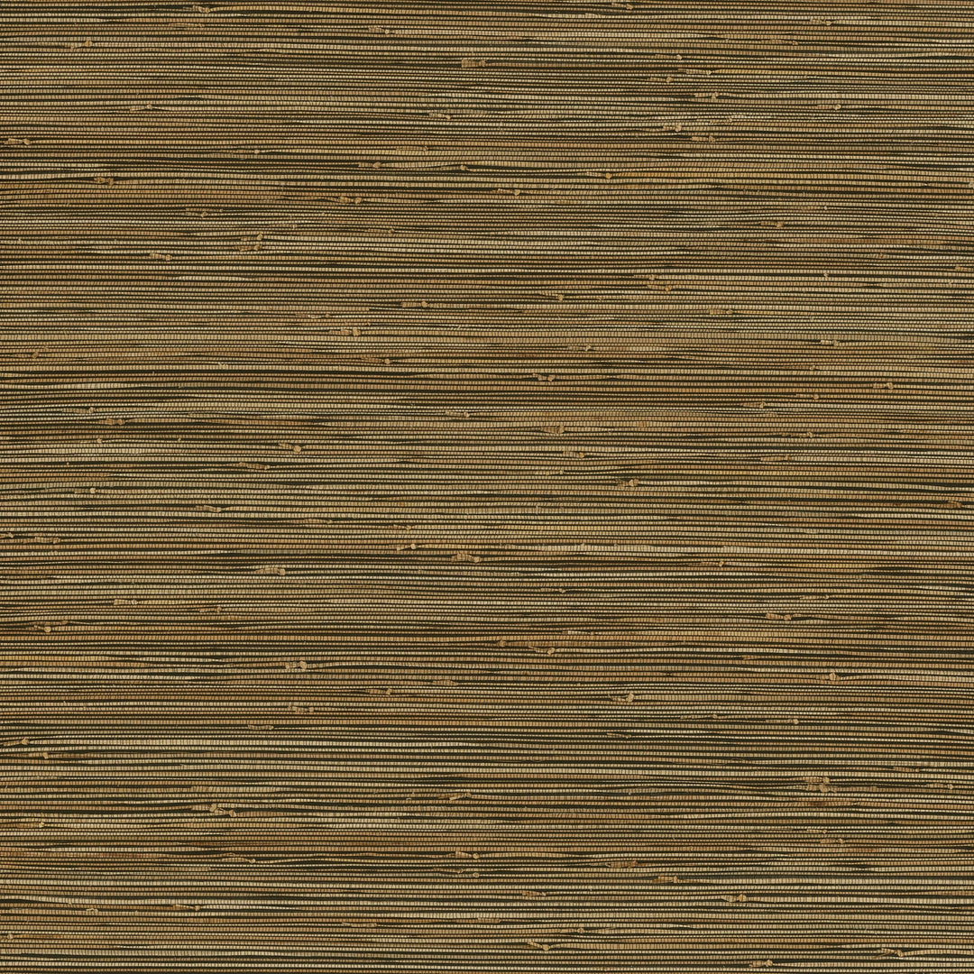 Mayleen Black Grasscloth Wallpaper by A-Street Prints Designer