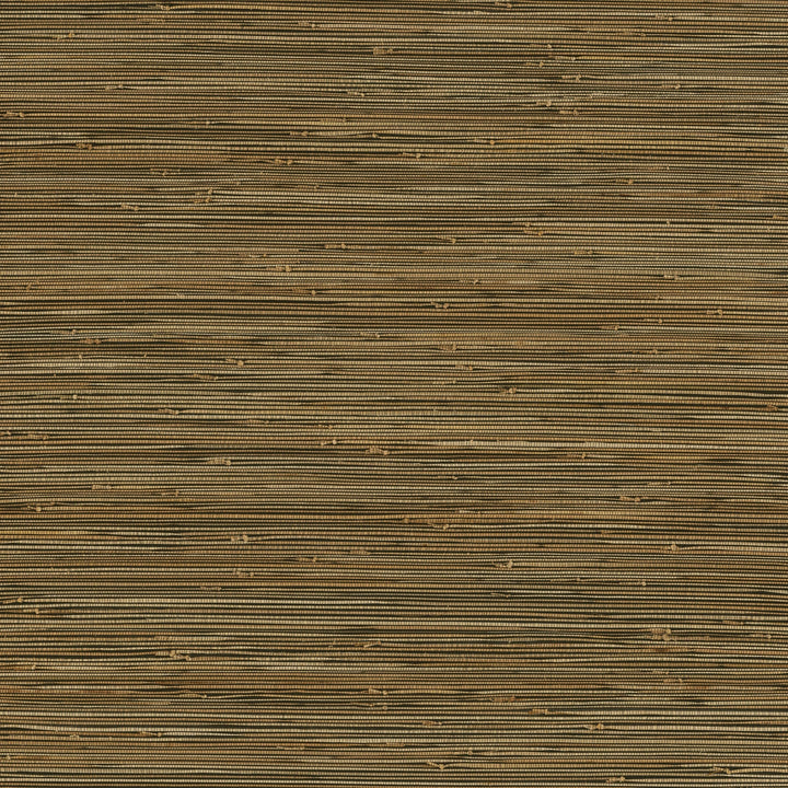 Mayleen Black Grasscloth Wallpaper by A-Street Prints Designer