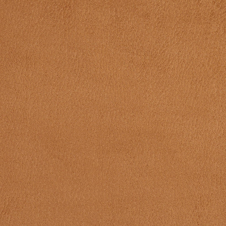 2923 Camel by Charlotte Designer Fabric Ring Book Page #4A 100% Woven Polyester Asia Exceeds 190,000 Wyzenbeek Rubs (Heavy Duty) </p><p>Repeat: No Repeat 54 Inches - Swanky Fabrics -