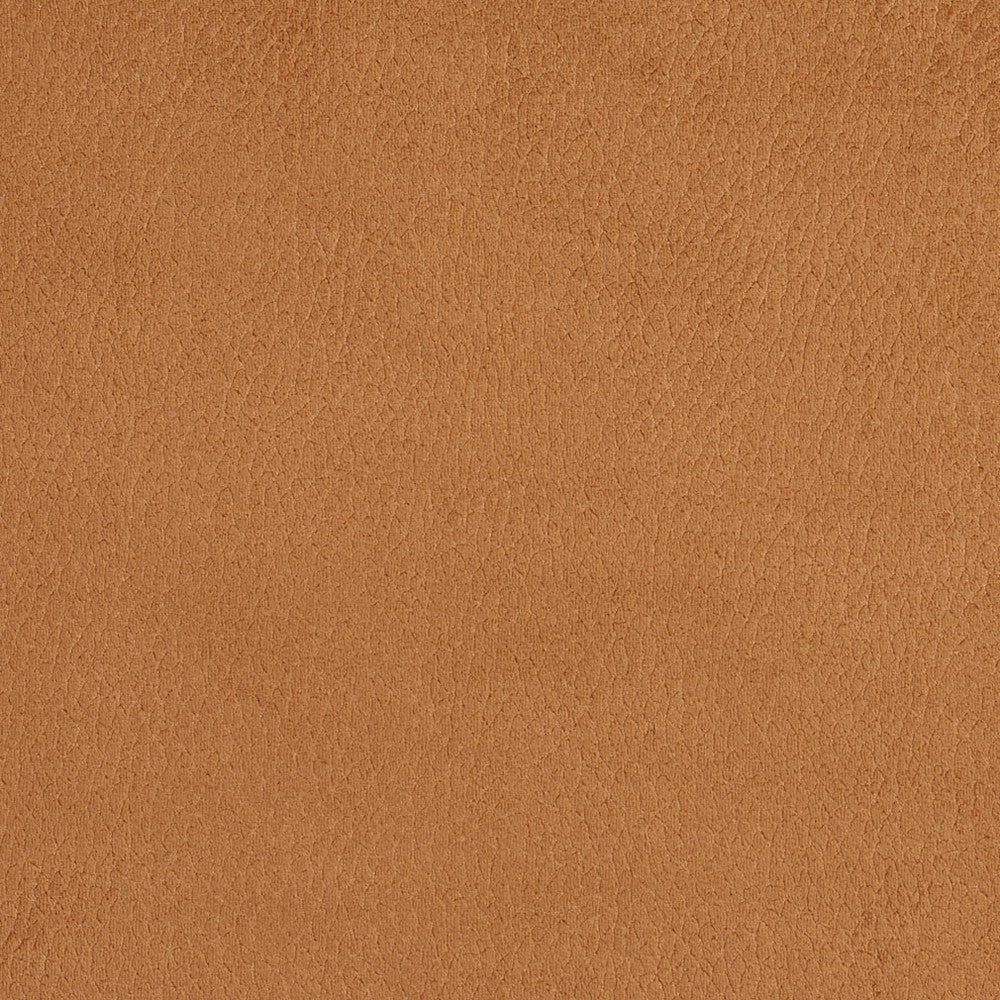 2923 Camel by Charlotte Designer Fabric Ring Book Page #4A 100% Woven Polyester Asia Exceeds 190,000 Wyzenbeek Rubs (Heavy Duty) </p><p>Repeat: 54 Inches - Swanky Fabrics -