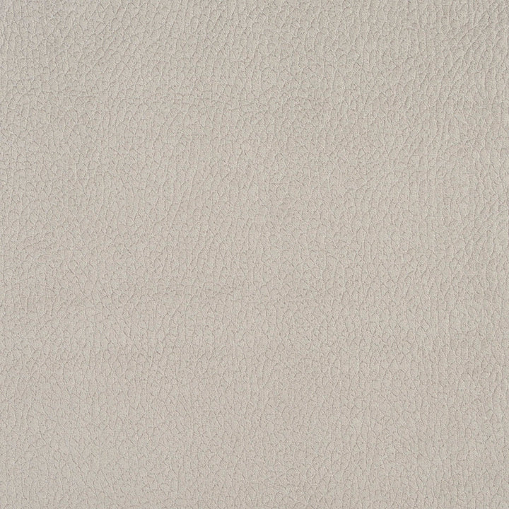 2924 Dolphin by Charlotte Designer Fabric Ring Book Page #4A 100% Woven Polyester Asia Exceeds 190,000 Wyzenbeek Rubs (Heavy Duty) </p><p>Repeat: No Repeat 54 Inches - Swanky Fabrics -