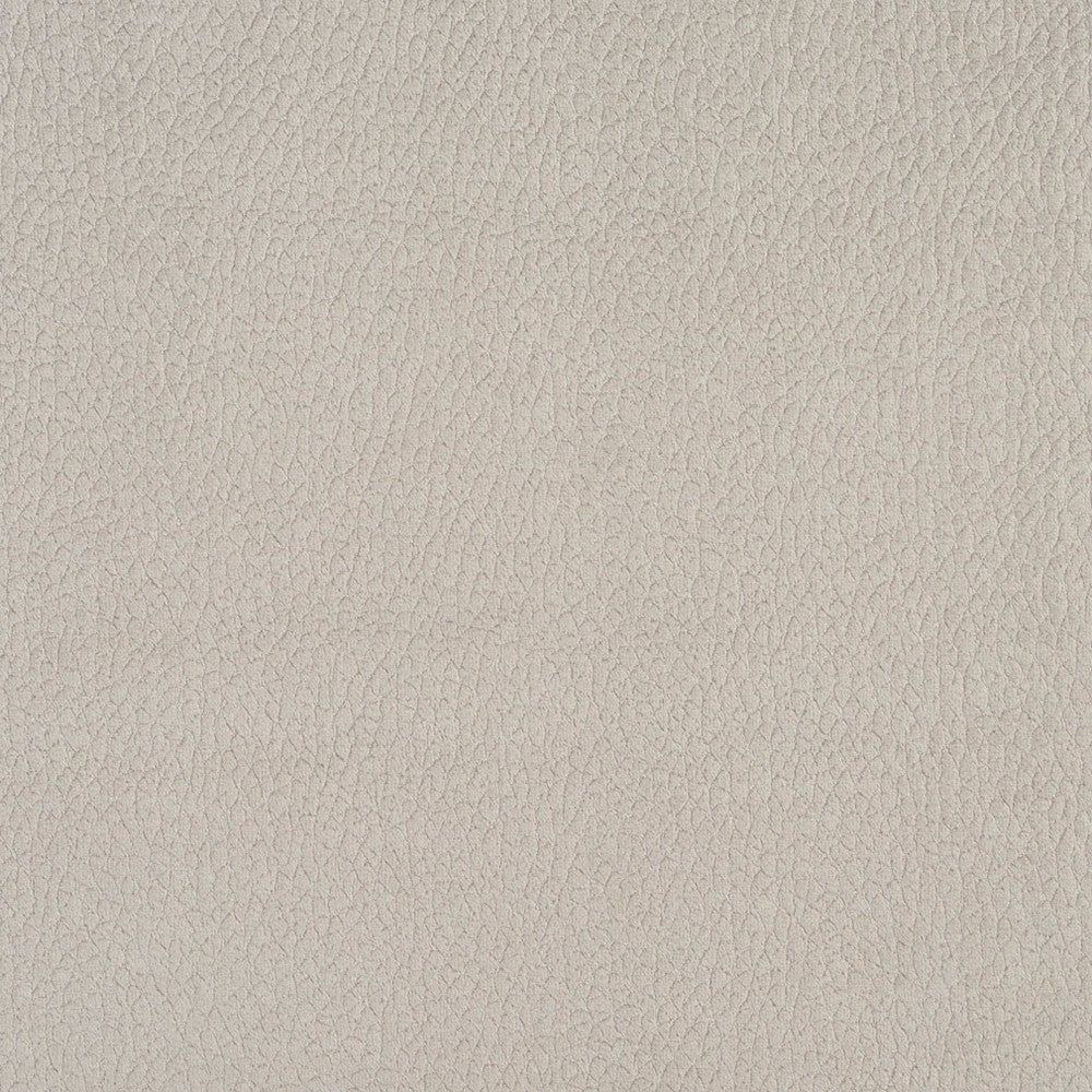 2924 Dolphin by Charlotte Designer Fabric Ring Book Page #4A 100% Woven Polyester Asia Exceeds 180,000 Wyzenbeek Rubs (Heavy Duty) No Repeat 54 Inches - Swanky Fabrics -