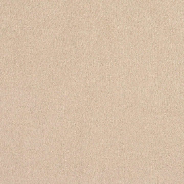 2926 Ecru by Charlotte Designer Fabric Ring Book Page #4A 100% Woven Polyester Asia Exceeds 180,000 Wyzenbeek Rubs (Heavy Duty) No Repeat 54 Inches - Swanky Fabrics -