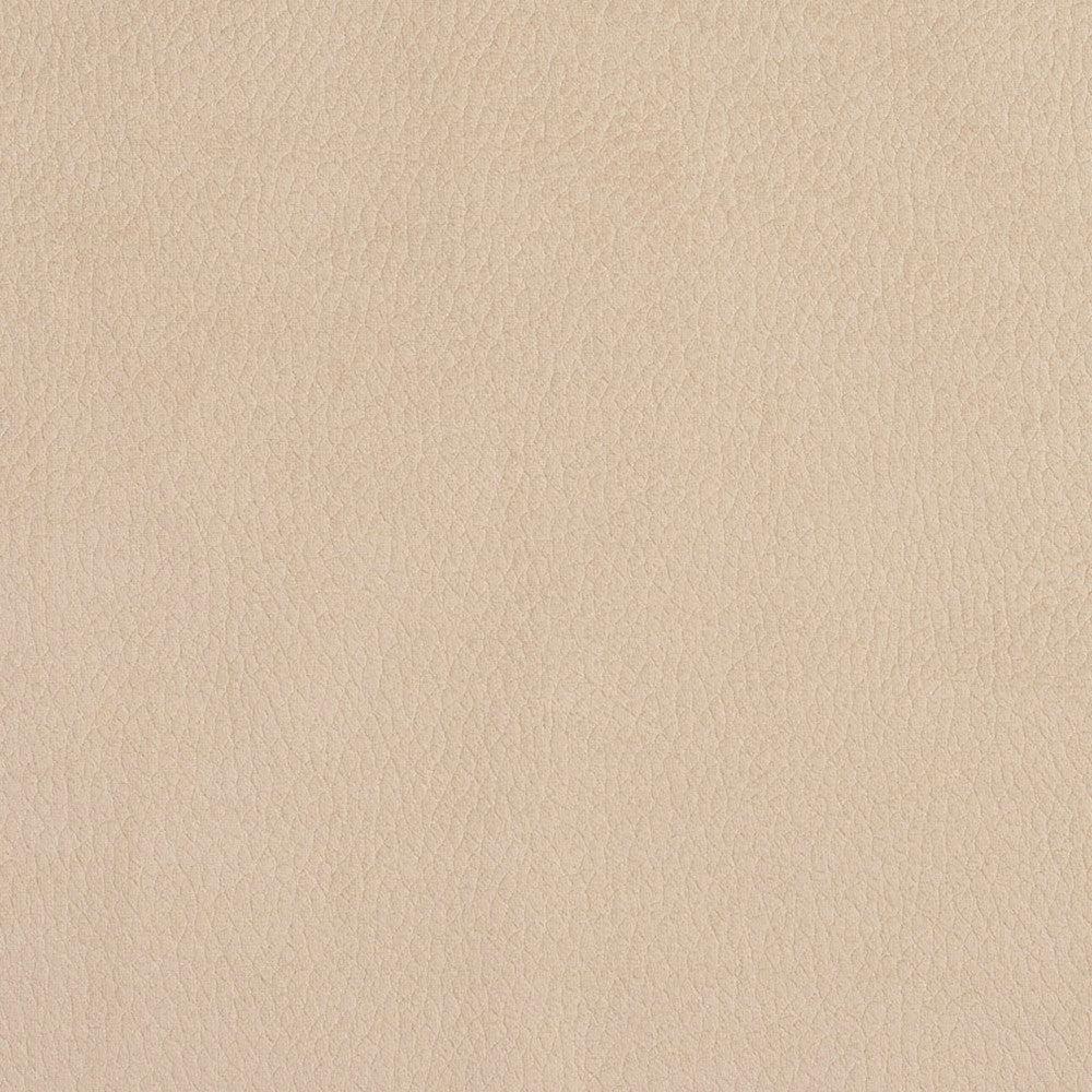 2926 Ecru by Charlotte Designer Fabric Ring Book Page #4A 100% Woven Polyester Asia Exceeds 180,000 Wyzenbeek Rubs (Heavy Duty) No Repeat 54 Inches - Swanky Fabrics -