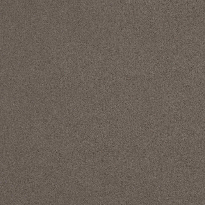 2927 Moonstone by Charlotte Designer Fabric Ring Book Page #4A 100% Woven Polyester Asia Exceeds 190,000 Wyzenbeek Rubs (Heavy Duty) </p><p>Repeat: 54 Inches - Swanky Fabrics -