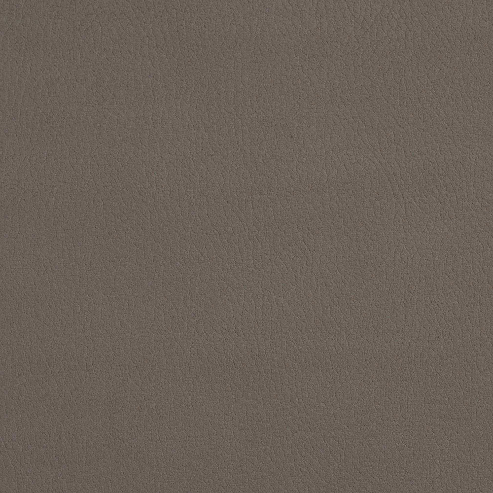 2927 Moonstone by Charlotte Designer Fabric Ring Book Page #4A 100% Woven Polyester Asia Exceeds 180,000 Wyzenbeek Rubs (Heavy Duty) No Repeat 54 Inches - Swanky Fabrics -