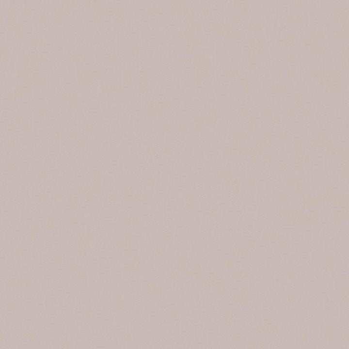 Zaitun # 501 Orchid by Maxwell Designer Fabric Pure & Simple Xvi 100% ORGANIC COTTON INDIA 55" - Swanky Fabrics -