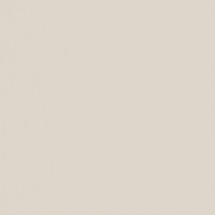 Zaitun # 502 Dune by Maxwell Designer Fabric Pure & Simple Xvi 100% ORGANIC COTTON INDIA 55" - Swanky Fabrics -