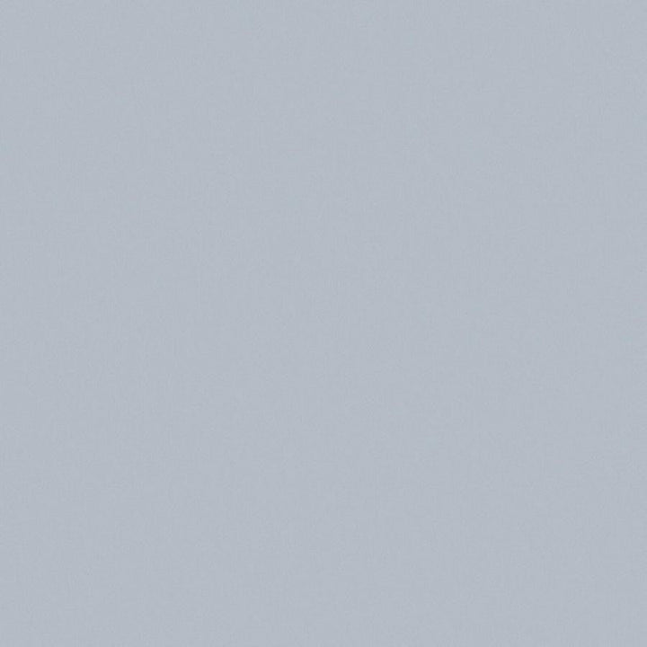 Zaitun # 508 Fog by Maxwell Designer Fabric Pure & Simple Xvi 100% ORGANIC COTTON INDIA 55" - Swanky Fabrics -