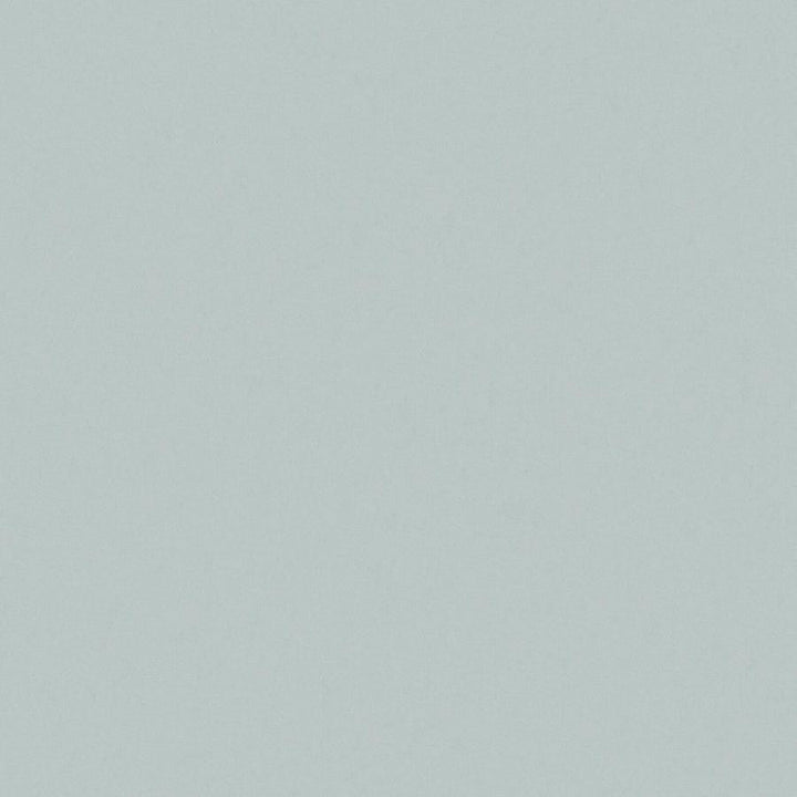 Zaitun # 512 Surf by Maxwell Designer Fabric Pure & Simple Xvi 100% ORGANIC COTTON INDIA 55" - Swanky Fabrics -