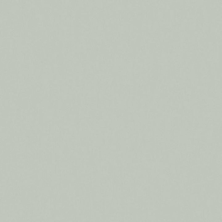 Zaitun # 515 Spearmint by Maxwell Designer Fabric Pure & Simple Xvi 100% ORGANIC COTTON INDIA 55" - Swanky Fabrics -