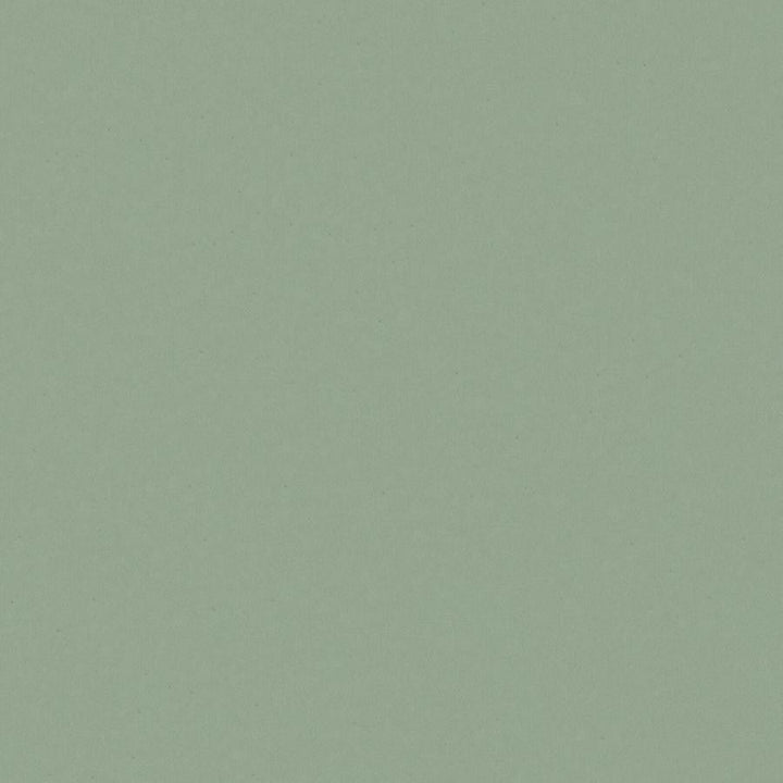 Zaitun # 516 Mineral by Maxwell Designer Fabric Pure & Simple Xvi 100% ORGANIC COTTON INDIA 55" - Swanky Fabrics -