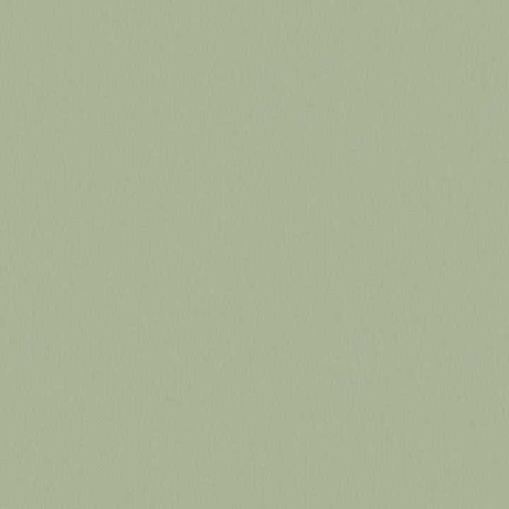 Zaitun # 517 Linden by Maxwell Designer Fabric Pure & Simple Xvi 100% ORGANIC COTTON INDIA 55" - Swanky Fabrics -