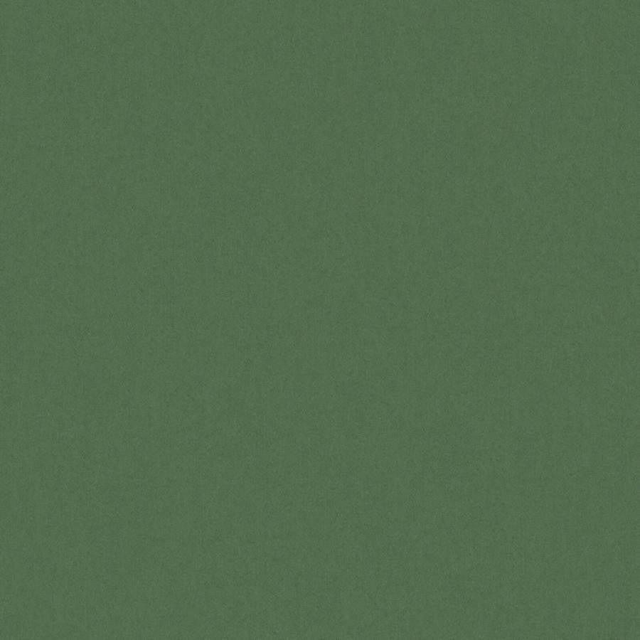 Zaitun # 518 Forest by Maxwell Designer Fabric Pure & Simple Xvi 100% ORGANIC COTTON INDIA 55" - Swanky Fabrics -