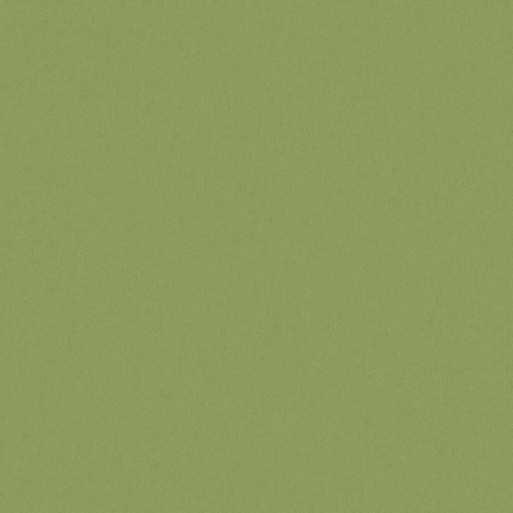 Zaitun # 519 Hedge by Maxwell Designer Fabric Pure & Simple Xvi 100% ORGANIC COTTON INDIA 55" - Swanky Fabrics -