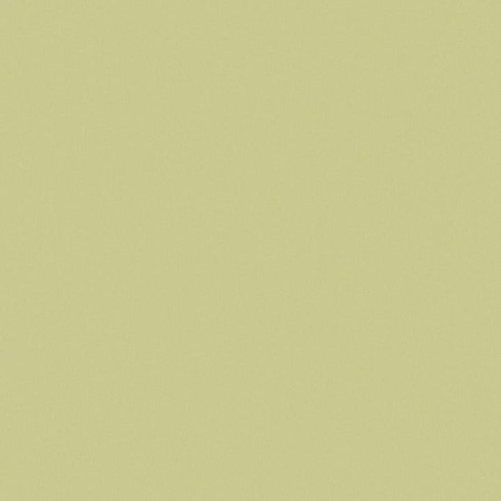 Zaitun # 520 Apple by Maxwell Designer Fabric Pure & Simple Xvi 100% ORGANIC COTTON INDIA 55" - Swanky Fabrics -