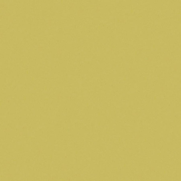 Zaitun # 521 Chartreuse by Maxwell Designer Fabric Pure & Simple Xvi 100% ORGANIC COTTON INDIA 55" - Swanky Fabrics -