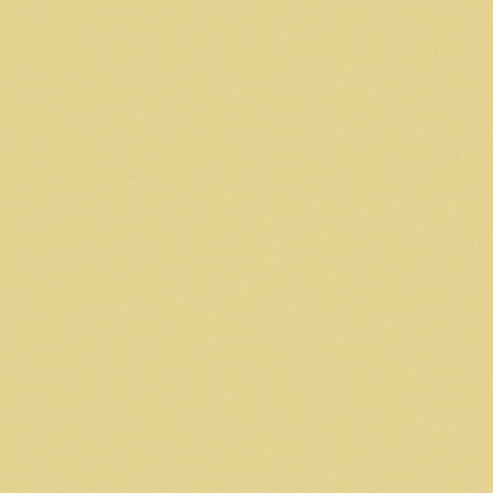 Zaitun # 522 Mimosa by Maxwell Designer Fabric Pure & Simple Xvi 100% ORGANIC COTTON INDIA 55" - Swanky Fabrics -