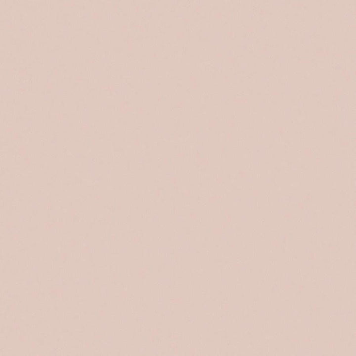 Zaitun # 529 Cameo by Maxwell Designer Fabric Pure & Simple Xvi 100% ORGANIC COTTON INDIA 55" - Swanky Fabrics -