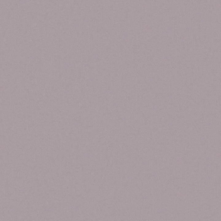 Zaitun # 536 Plum by Maxwell Designer Fabric Pure & Simple Xvi 100% ORGANIC COTTON INDIA 55" - Swanky Fabrics -