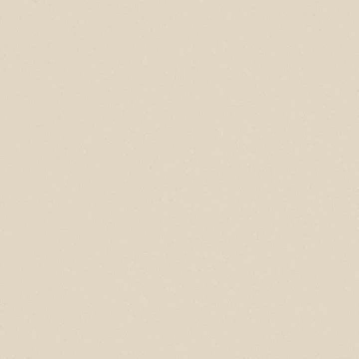 Zaitun # 541 Putty by Maxwell Designer Fabric Pure & Simple Xvi 100% ORGANIC COTTON INDIA 55" - Swanky Fabrics -