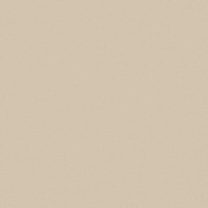 Zaitun # 542 Sand by Maxwell Designer Fabric Pure & Simple Xvi 100% ORGANIC COTTON INDIA 55" - Swanky Fabrics -