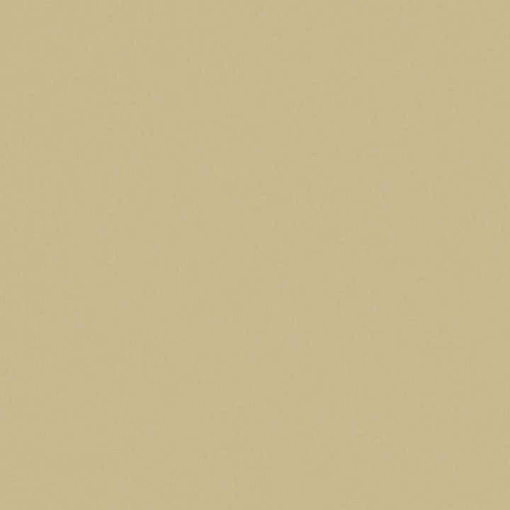 Zaitun # 543 Hay by Maxwell Designer Fabric Pure & Simple Xvi 100% ORGANIC COTTON INDIA 55" - Swanky Fabrics -