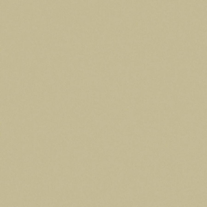 Zaitun # 544 Seagrass by Maxwell Designer Fabric Pure & Simple Xvi 100% ORGANIC COTTON INDIA 55" - Swanky Fabrics -