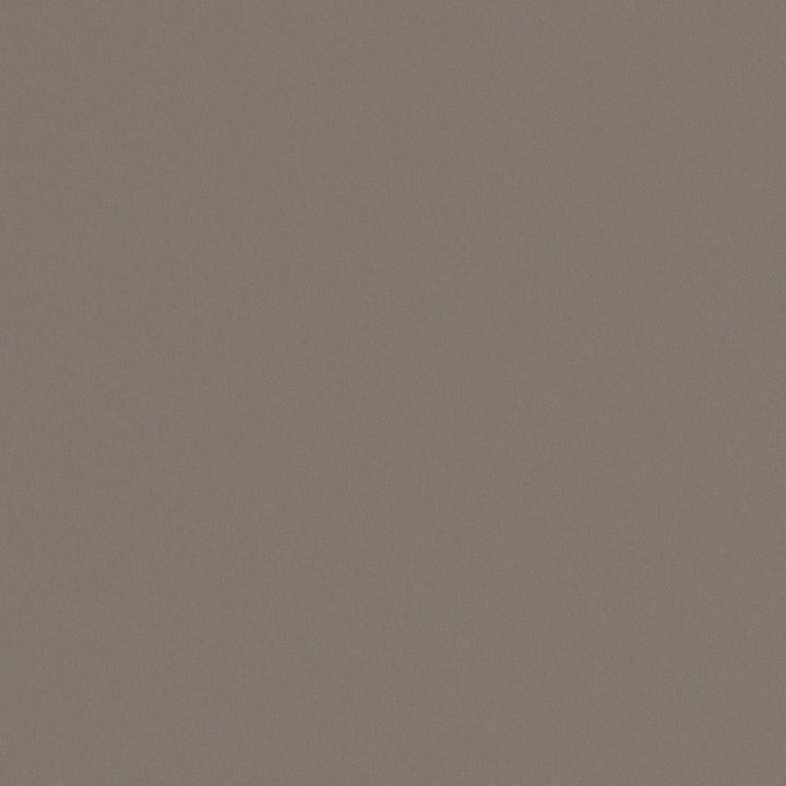 Zaitun # 547 Slate by Maxwell Designer Fabric Pure & Simple Xvi 100% ORGANIC COTTON INDIA 55" - Swanky Fabrics -