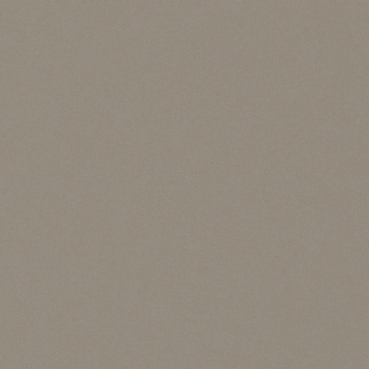 Zaitun # 548 Pewter by Maxwell Designer Fabric Pure & Simple Xvi 100% ORGANIC COTTON INDIA 55" - Swanky Fabrics -