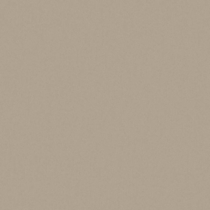 Zaitun # 550 Funghi by Maxwell Designer Fabric Pure & Simple Xvi 100% ORGANIC COTTON INDIA 55" - Swanky Fabrics -