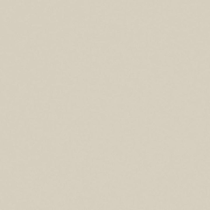 Zaitun # 552 Rattan by Maxwell Designer Fabric Pure & Simple Xvi 100% ORGANIC COTTON INDIA 55" - Swanky Fabrics -