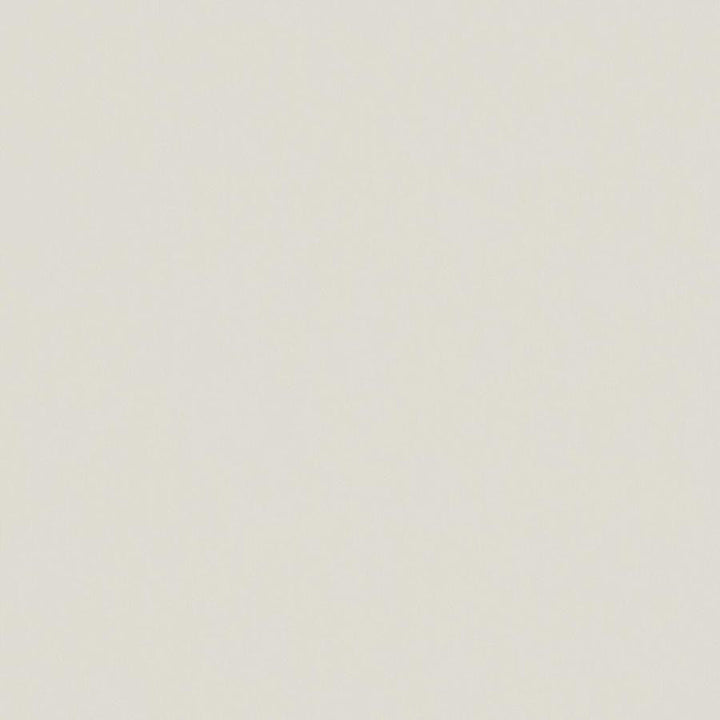 Zaitun # 553 Marzipan by Maxwell Designer Fabric Pure & Simple Xvi 100% ORGANIC COTTON INDIA 55" - Swanky Fabrics -