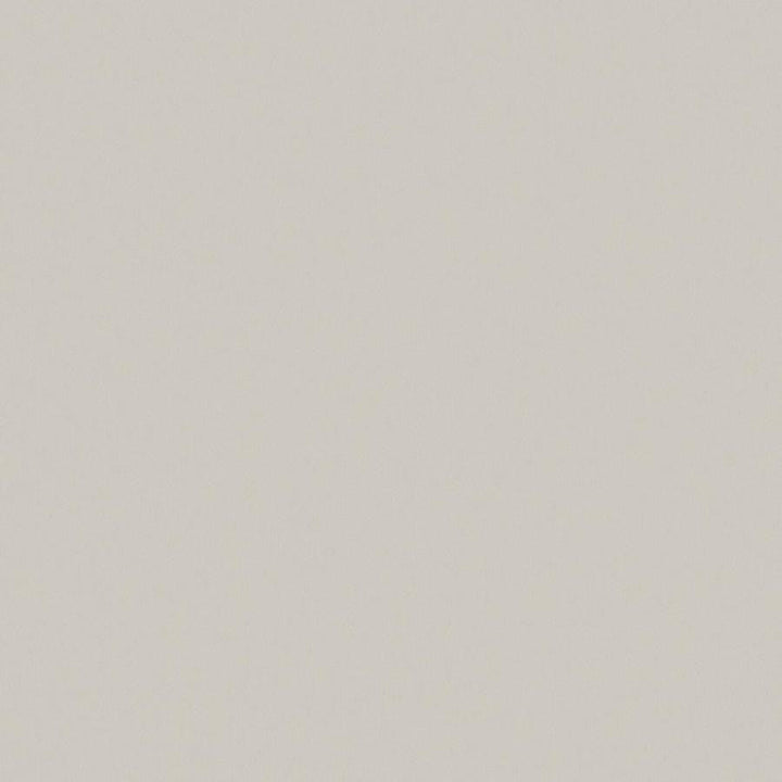 Zaitun # 554 Fresco by Maxwell Designer Fabric Pure & Simple Xvi 100% ORGANIC COTTON INDIA 55" - Swanky Fabrics -