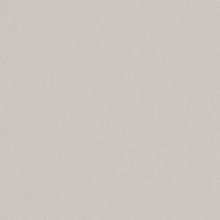Zaitun # 555 Limestone by Maxwell Designer Fabric Pure & Simple Xvi 100% ORGANIC COTTON INDIA 55" - Swanky Fabrics -