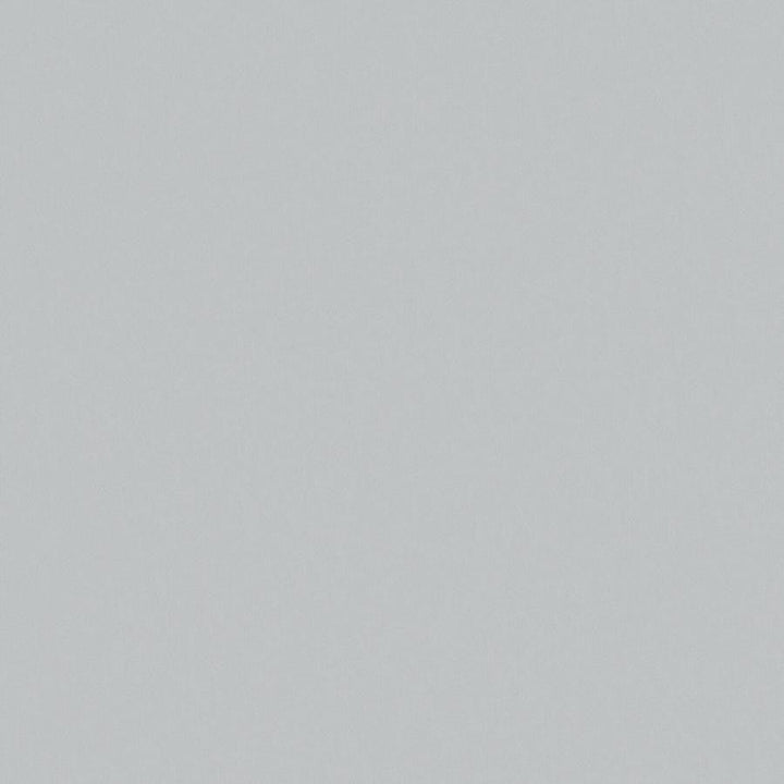 Zaitun # 558 Cloud by Maxwell Designer Fabric Pure & Simple Xvi 100% ORGANIC COTTON INDIA 55" - Swanky Fabrics -