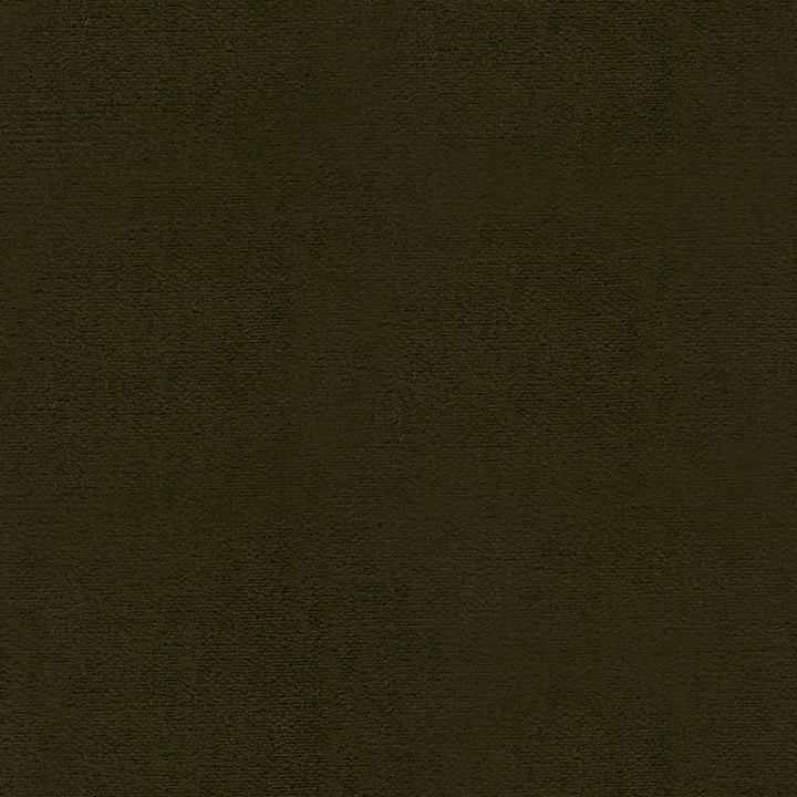 29431.66 by Kravet Design Designer Fabric - Cotton 74%, Polyester 26% USA Heavy H" -, V: - 54 inches  - Swanky Fabrics -  Kravet Design