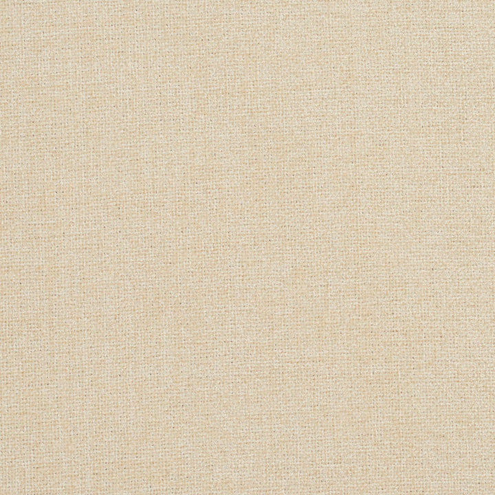 2944 Ivory by Charlotte Designer Fabric Ring Book Page #3A 100% Woven Polyester Asia Exceeds 100,000 Wyzenbeek Rubs (Heavy Duty) No Repeat 54 Inches - Swanky Fabrics -