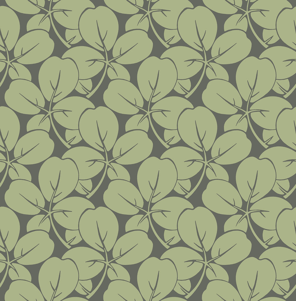 Robert Green Clover Wallpaper by A-Street Prints Designer