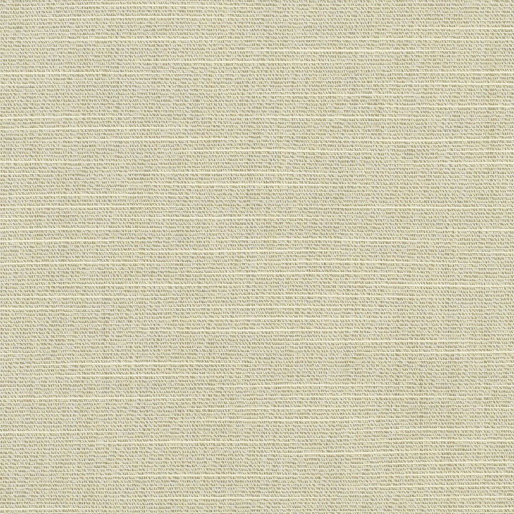 6062 Silica Silver by Sunbrella Designer Fabric Sunbrella Awning / Marine 60 in. Solids 100% SunbrellaÂ® Acrylic USA or Imported 10-Year Horizontal: and Vertical: 60 in. - Swanky Fabrics -