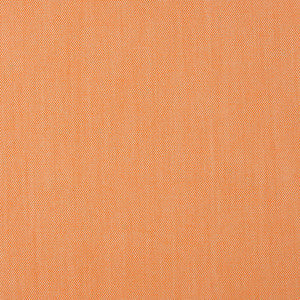 Charlotte Fabric 30010-06