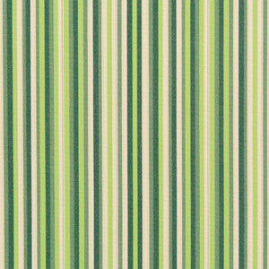 Charlotte Fabric 30040-01