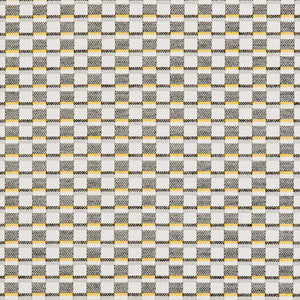 Charlotte Fabric 30060-01