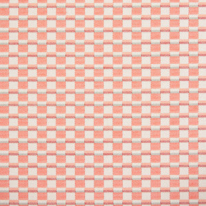 Charlotte Fabric 30060-03